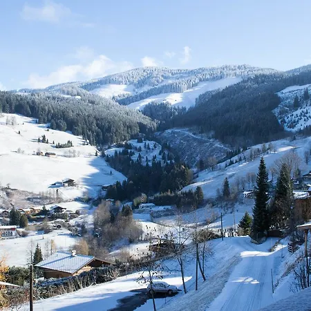 Ski Hutte 39 By Alpen * Maria Alm am Steinernen Meer